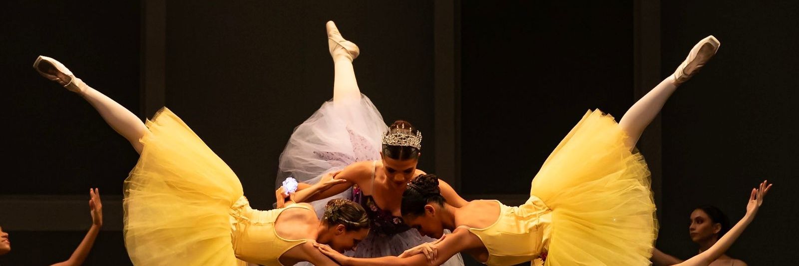 Natasha (do contra) banner