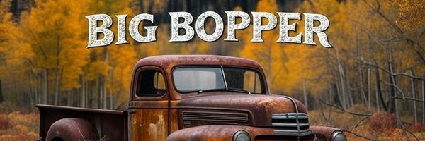 Bopper987 Profile Banner