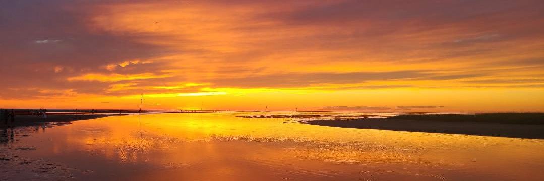 (((Pete Bernard))) banner