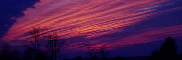 marybtinker Profile Banner