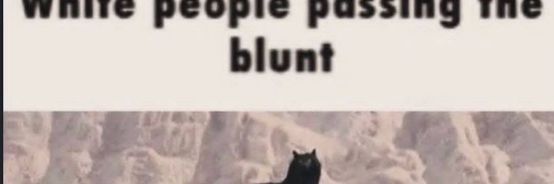 k banner