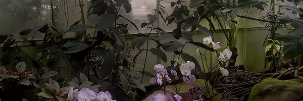 w3tsocks1 Profile Banner