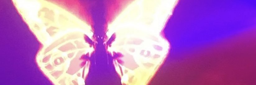 amelia banner
