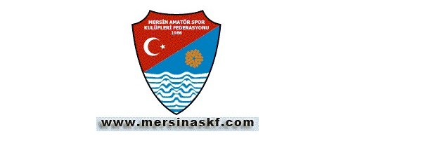 Mithat Ertaş banner