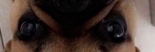 Lorab_r's profile banner image