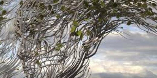 BltBarbara's profile banner image