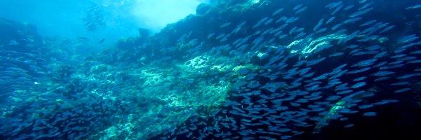 MaCoBioS Profile Banner