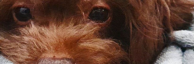 Banegaanahi's profile banner image
