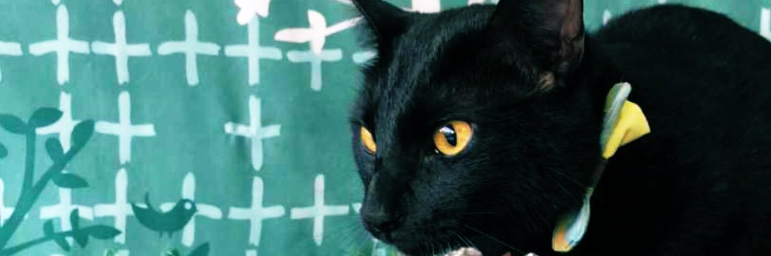 DiuMachuca's profile banner image