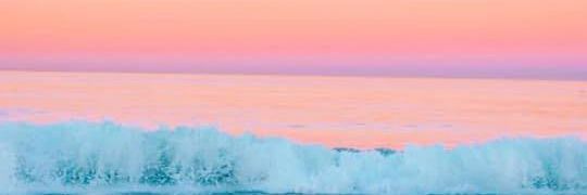Dopp42016513's profile banner image
