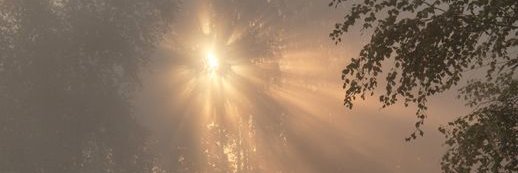sossocarly27's profile banner image
