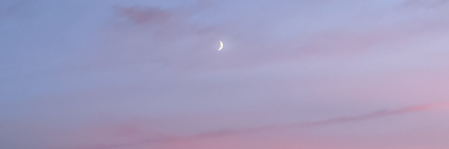 flugpinguin's profile banner image