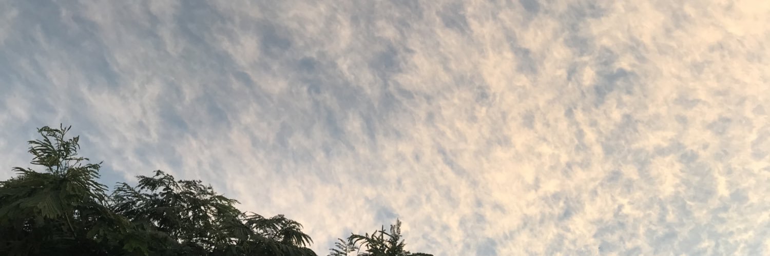 mrjs_c's profile banner image