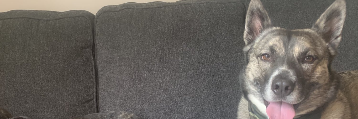 Brandon Alberto banner