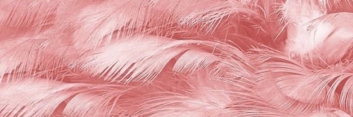 alyescobar's profile banner image