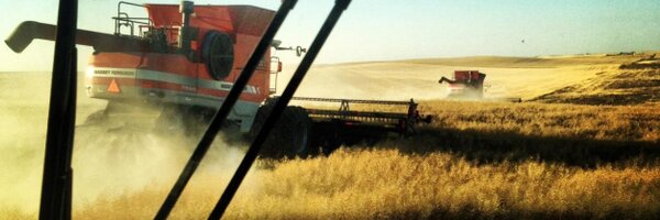 StarlandCounty Profile Banner