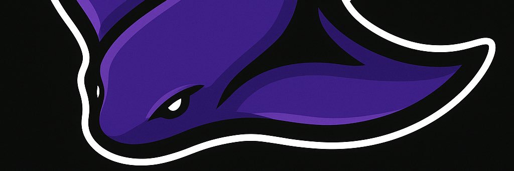Raysziyy banner