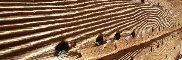 BIKINI 311 (74) GrouikNonModifiéC19 banner