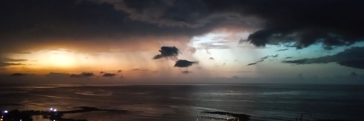 Estefani Brito banner