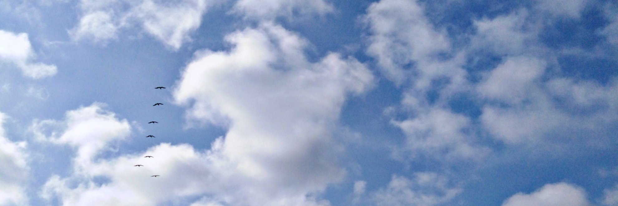 Marixhf's profile banner image