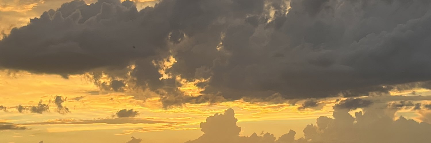 meganeguthrie's profile banner image