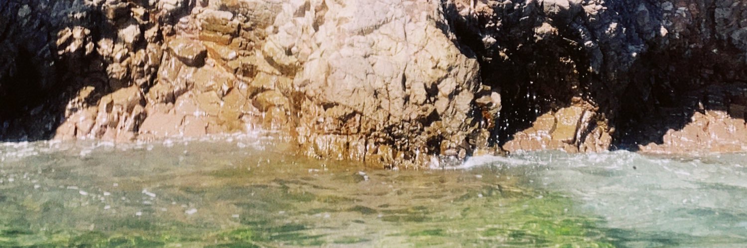 lynnorduno's profile banner image