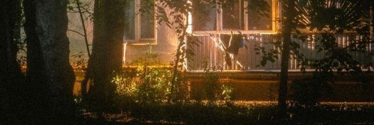 🌕🃏| ᴬˡᵉ banner