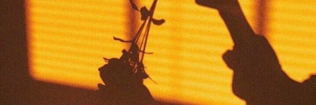 els1e1's profile banner image