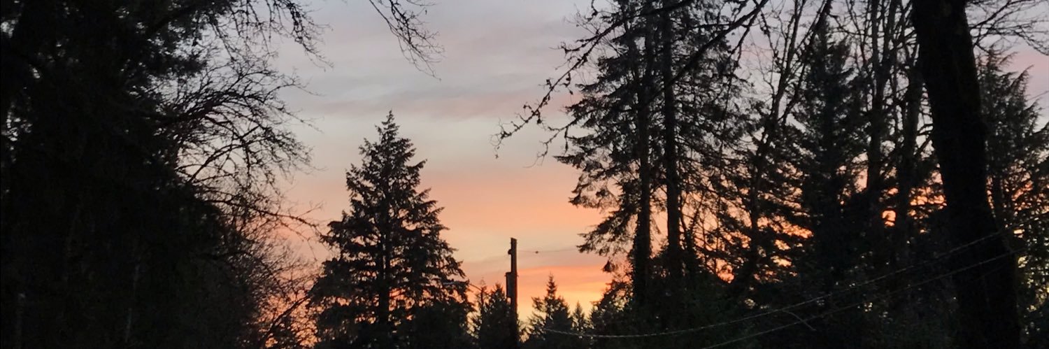 emdewdew's profile banner image