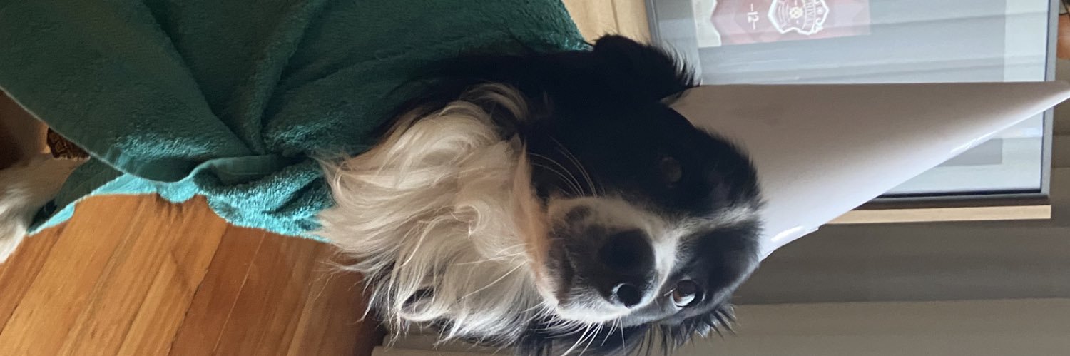 enekoconk's profile banner image