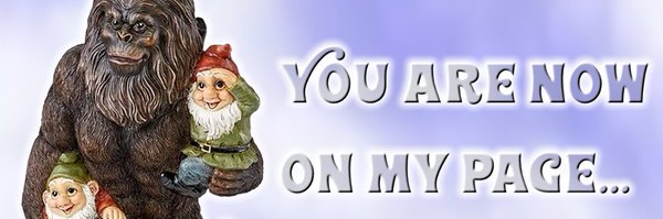 texcritter Profile Banner