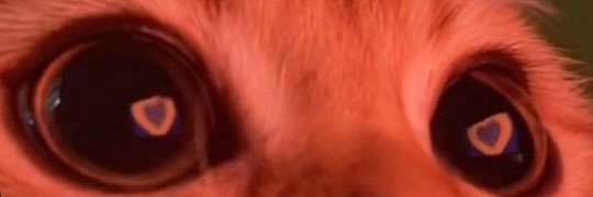 ableinlove's profile banner image