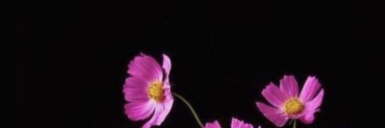 Manal22_1's profile banner image