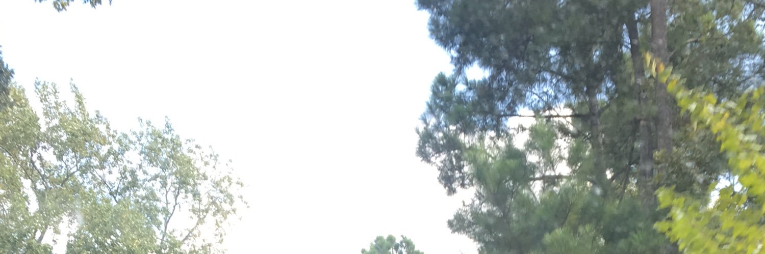 MadamRulerD's profile banner image