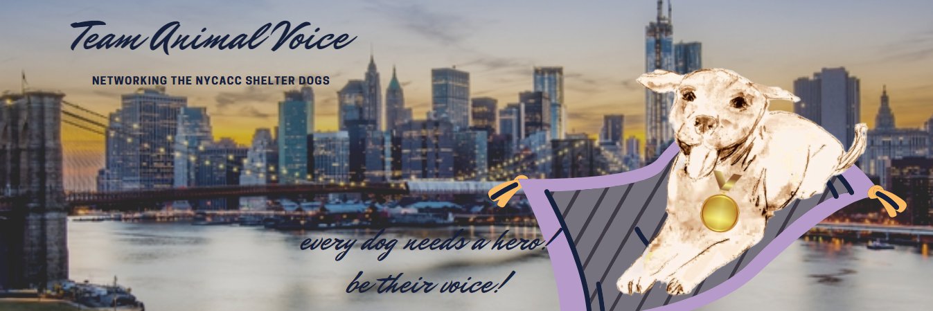 Morgan Fairchild's Dogs's banner