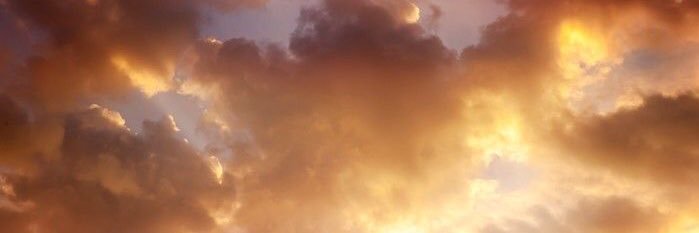 Sarahgrabowski_'s profile banner image