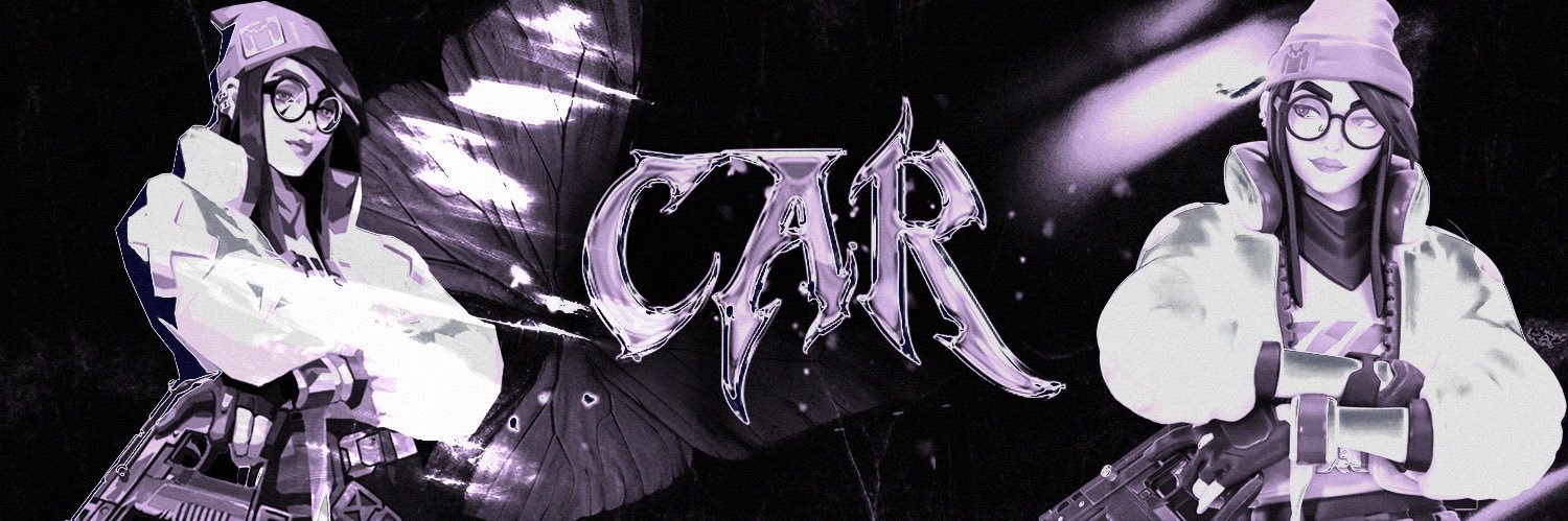 Car banner