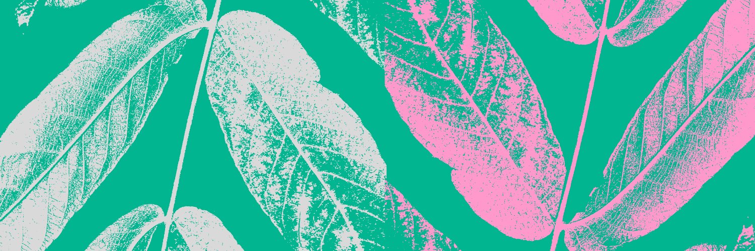Blackbird Foundation banner
