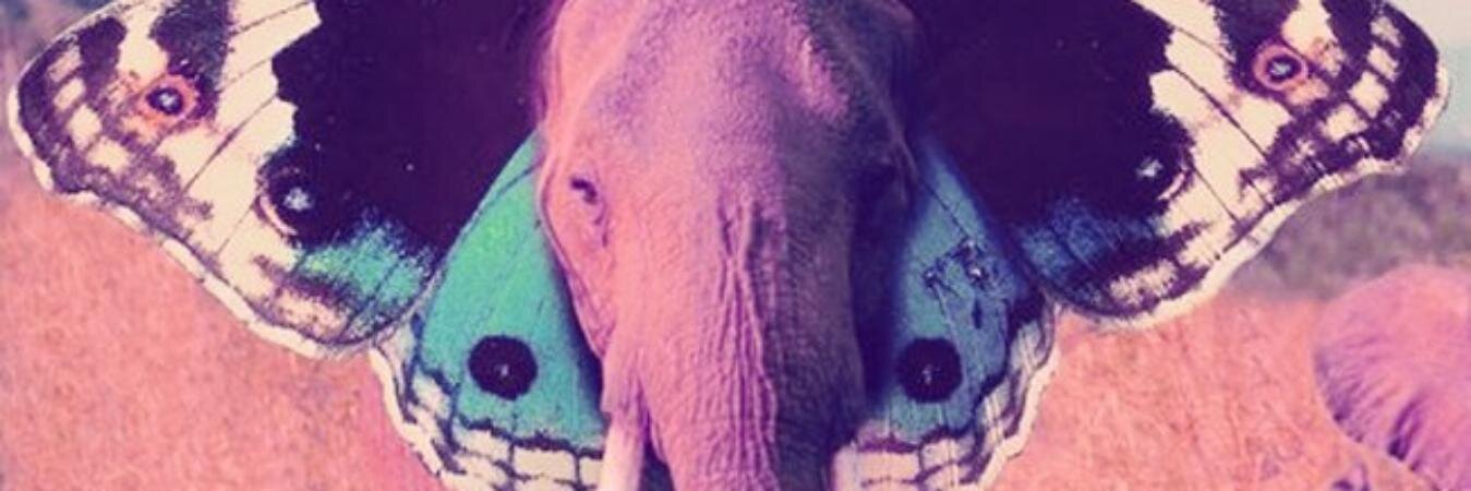 Micaela_53's profile banner image