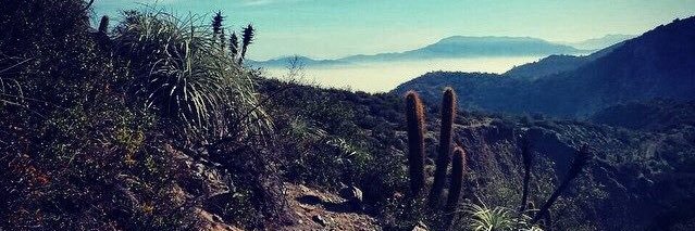 FranciscoDaher's profile banner image