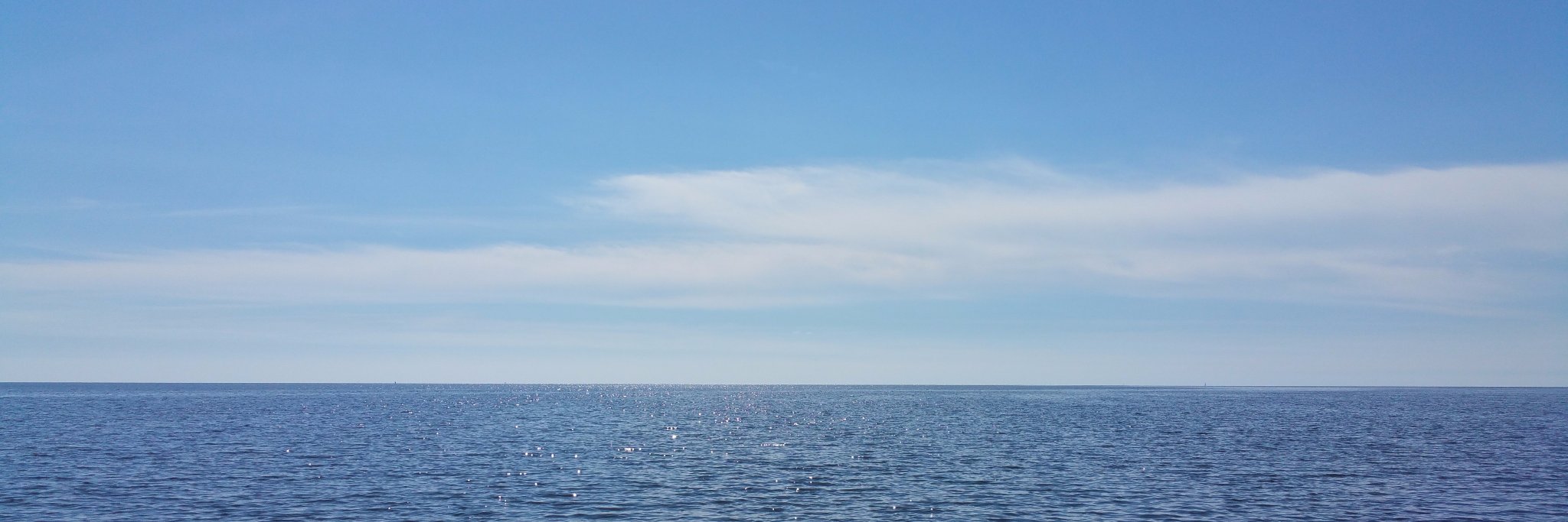 wheyreynolds's profile banner image