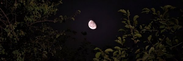 zamannx Profile Banner