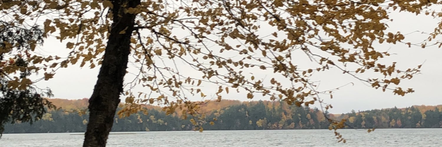 samobrist's profile banner image