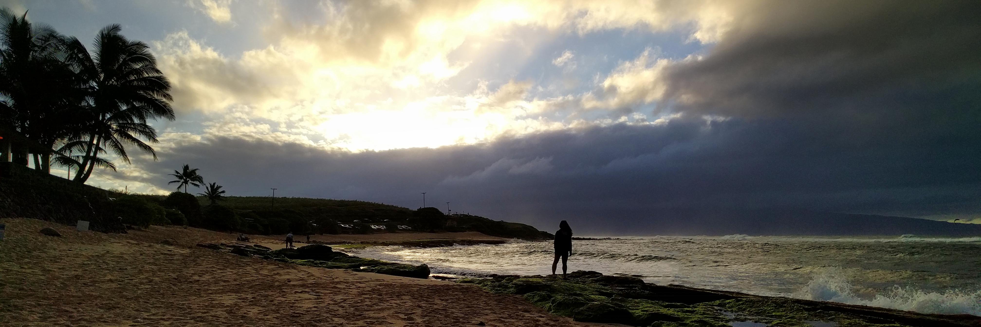 Veronica Wong •ᴗ• banner