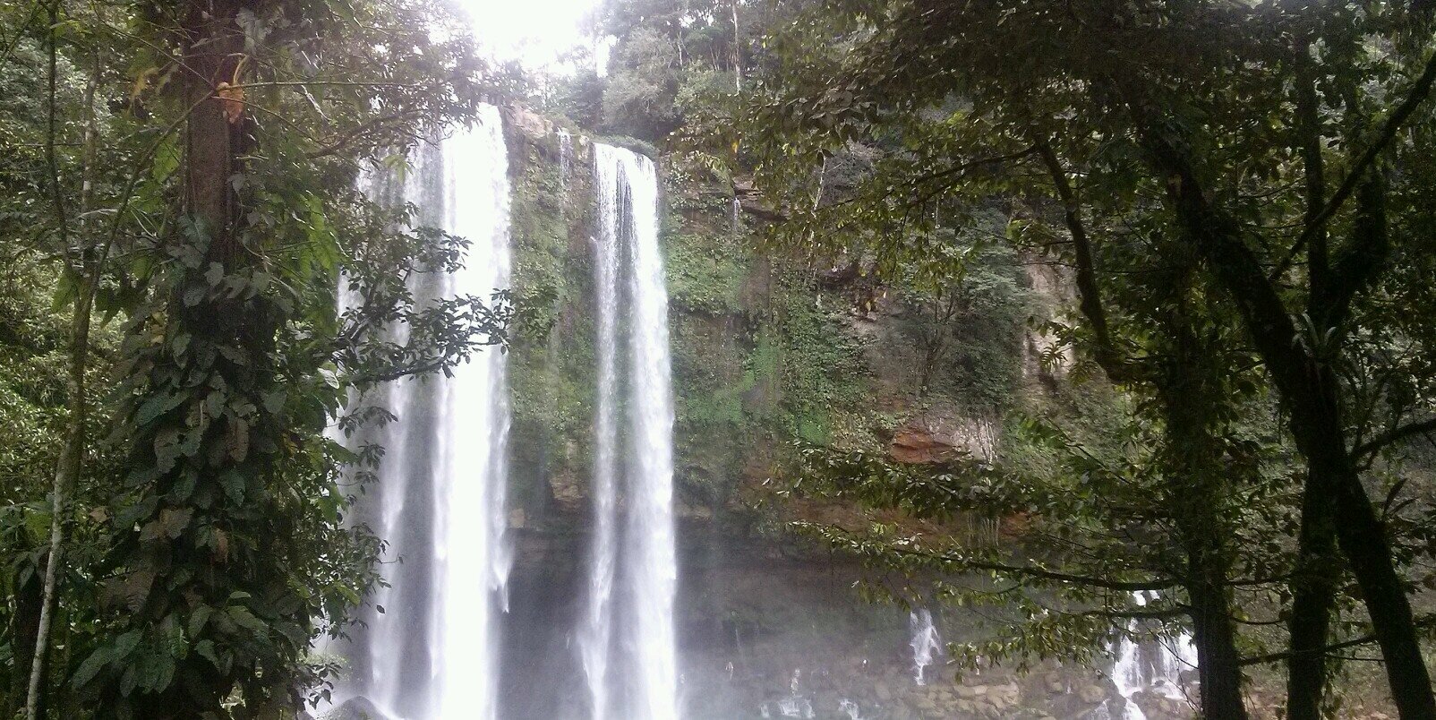 Carolina Lopez Hgo banner