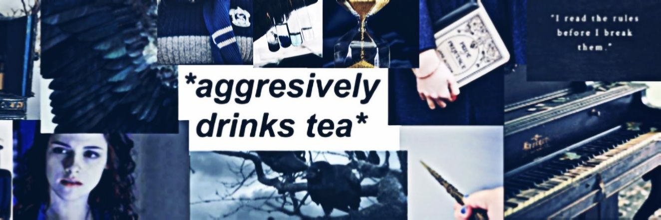 LittleGrayCrow's profile banner image
