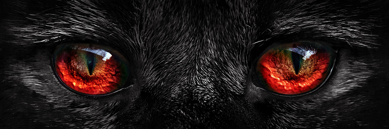 Jake Wan banner