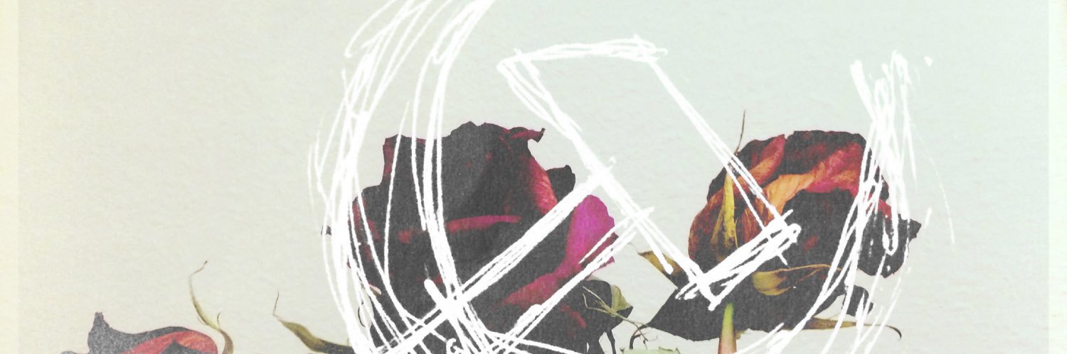 AsheTempest's profile banner image