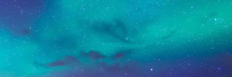 laterr banner