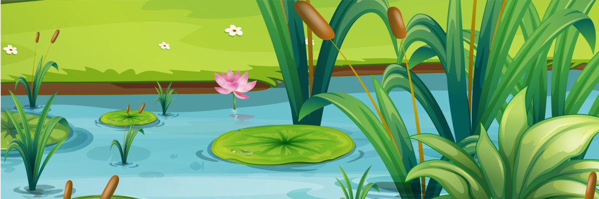 B_XClub's profile banner image